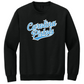 Carolina Pistols Fast Pitch Softball