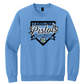 Carolina Pistols Fast Pitch Softball